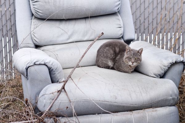 Recliner Disposal in Greensboro